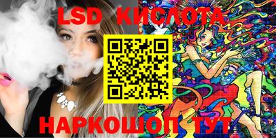 apvp Кингисепп