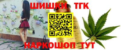 apvp Кингисепп