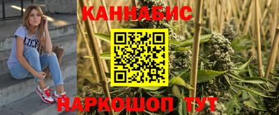 apvp Кингисепп