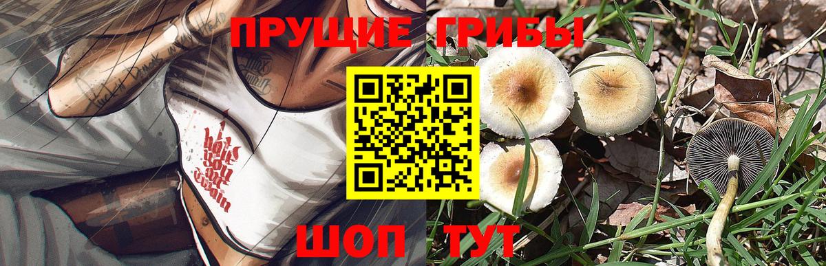 где купить   Псилоцибиновые грибы Psilocybe  Вход с VPN  Галлюциногенные грибы мухоморы  Ковров 